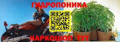 гидра Краснокаменск