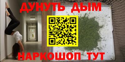 сатива Краснодар