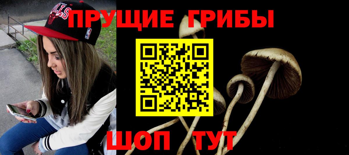Галлюциногенные грибы прущие грибы Югорск
