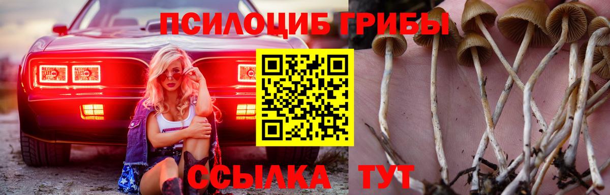 Галлюциногенные грибы Psilocybine cubensis  Вход с VPN  Псилоцибиновые грибы ЛСД  Югорск 
